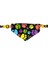 Paws Tasma Fular Bandana 1