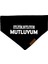 Mutluyum Tasma Fular Bandana 2