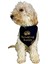 Buddies Tasma Fular Bandana 3