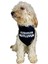 Happy Dogs Tasma Fular Bandana 3