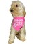 Mommys Bestie Tasma Fular Bandana 3