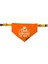 Walker Tasma Fular Bandana 1