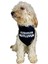 Walker Tasma Fular Bandana 4