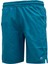 Uhlsportt Micro Thorn 3221401-412 Erkek Deniz Şort 1