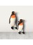 2li Büyük Penguen 1