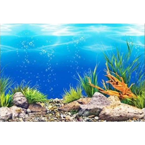 Cadia Okyanus Pvc Akvaryum Arka Plan Poster Balık Tankı Dekorasyon Manzara 60X102 cm (Yurt Dışından)