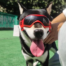 Cadia Köpek Gözlük Gözlükler Cosplay Parti Kostüm Göz Giyim Fotoğraf Sahne Kırmızı Iyilik (Yurt Dışından)