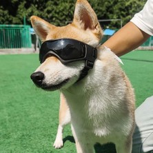 Cadia Köpek Gözlük Pet Güneş Gözlüğü Parti Kostüm Kar Gözlük Koruyucu Malzemeleri Siyah (Yurt Dışından)