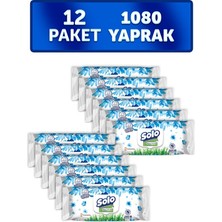 Solo Islak Havlu Okyanus Ferahlığı 12'li Set 1080 Yaprak