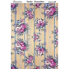 Cadence Tela Transfer Model 49