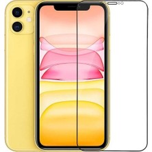 Case 4U Apple iPhone 12 Mini Zore Mat Seramik Ekran Koruyucu