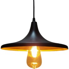 Mylights  Retro Rustik Metal Sarkıt Avize   27 cm En