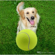 İhtiyaç AVM Tenis Topu Köpek Oyuncağı.