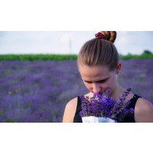 Biorganix Doğal Lavanta Demeti Natural Lavender Bundle 20 Adet 200-300 Dal