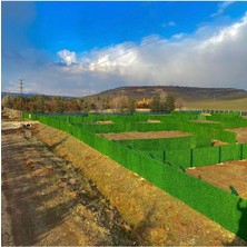 Brofence Çim Çit 50 Cm - 3 Metre