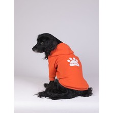 Peti Tailor Köpek Kıyafeti Üç Iplik Kapüşonlu Pati Dog Sweatshirt Turuncu