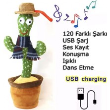 Universal Dansçı Kaktüs USB Şarjlı Ses Taklidi Yapan Işıklı Konuşan Dans Eden Kaktüs
