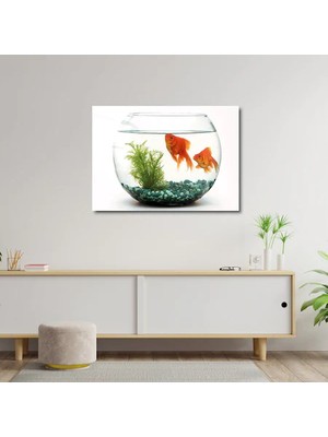 Art of Wall Artofwalldesign ''akvaryum Balığı'' Cam Tablo Uv