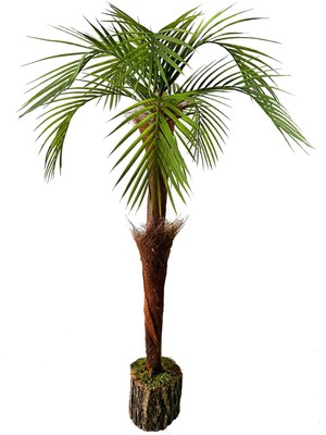Hediye Vitrini Yapay Ağaç Odun Saksı Da Life Sarılı Palmiye Ağacı Tropikal Areka Ağacı 85 cm