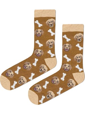Chie Collection 6'lı Köpek Temalı Desenli Hediye Kutulu Unisex Renkli Soket Çorap Seti