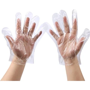 Ersin Ambalaj Şeffaf Poşet Eldiven Hışır Eldiven Large 1 KOLİ 100 PAKET