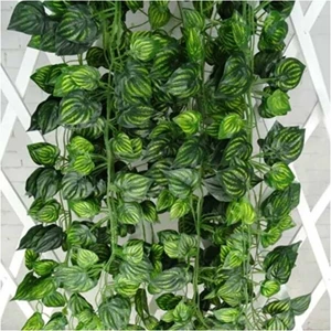 Yapay Çiçek Sarmaşık