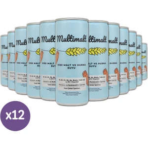 Alkolsüz  Malt ve Hurma Suyu 25 cl 12 Adet