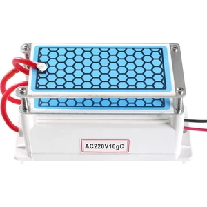 Yüksek Sıcaklık Seramik Plaka Entegre Ozon Jeneratörü 220 V 10G Hava Temizleyici (Yurt Dışından)