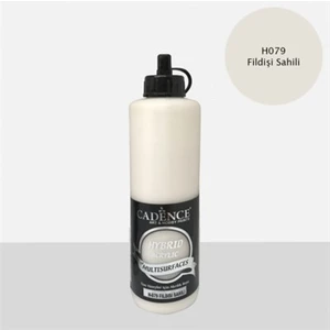 H079 Fildişi Sahili  Multisurfaces 500ML