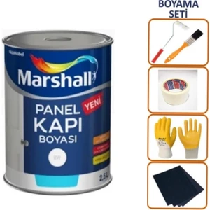 Panel Kapı Boyası ve Boyama Seti 1l.