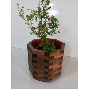 Ahşap Saksı