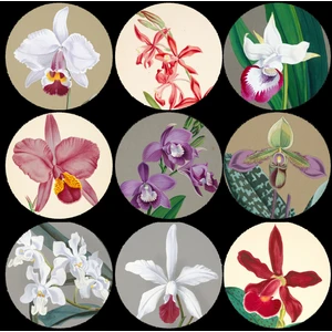 Tellgraf Çiçekli Yuvarlak Sticker (4x4 Cm)