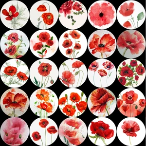 Tellgraf Gelincik Sticker Seti (4x4 cm 25 Adet)