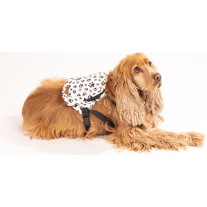Köpek Sırt Çantası - Köpek Tasması Aparatlı - Patili Model