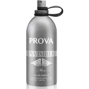 Invisible EDP Erkek Parfüm 120 ml