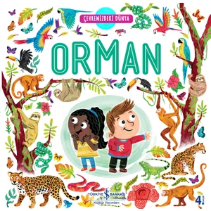 Çevremizdeki Dünya Orman