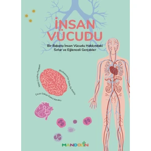 İnsan Vücudu - Cristina Peraboni