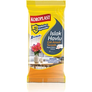 Temizlik Mendili Çok Amaçlı