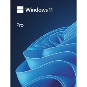 Windows 11 Pro - Elektronik Lisans