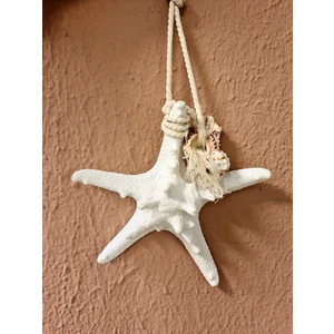 Evinizdeki Okyanus Esintisi Turkuaz Hediyelik Gerçek Deniz Yıldızı Duvar Dekoru