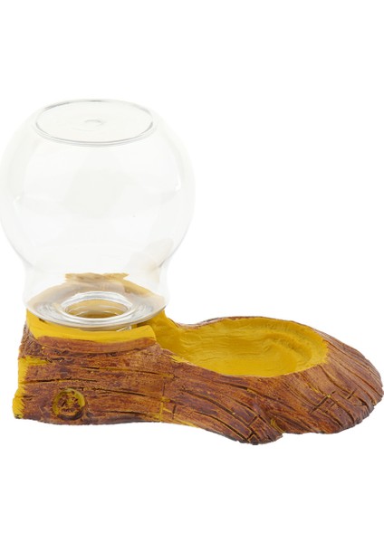 Kaplumbağa Kaplumbağa Gecko Kertenkele Kurbağa Sürüngenler Waterer Otomatik Su Dağıtıcısı (Yurt Dışından)