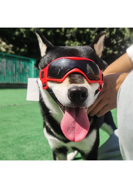 Köpek Gözlük Gözlükler Cosplay Parti Kostüm Göz Giyim Fotoğraf Sahne Kırmızı Iyilik (Yurt Dışından) fırsatları