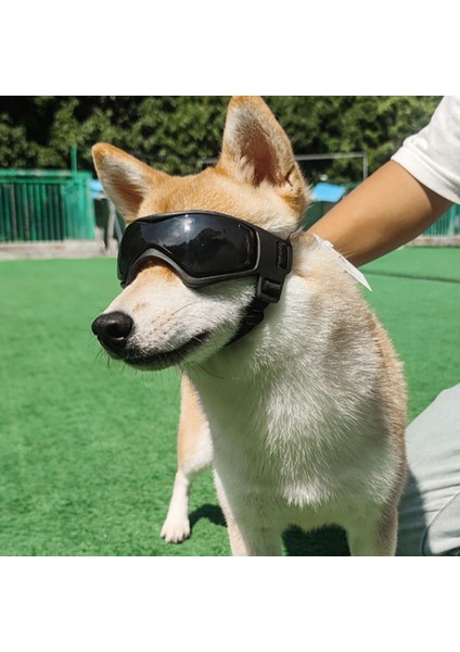 Köpek Gözlük Pet Güneş Gözlüğü Parti Kostüm Kar Gözlük Koruyucu Malzemeleri Siyah (Yurt Dışından)