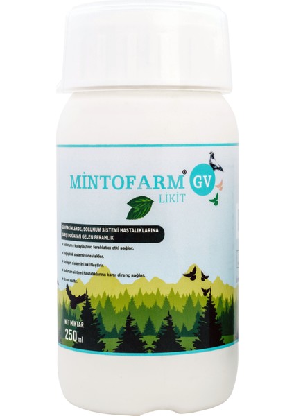 Mintofarm Gv 250 ML