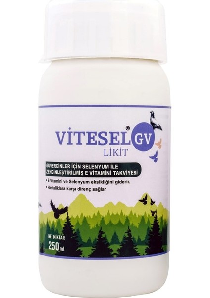 Vitesel Gv 250 ML