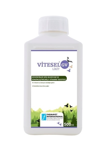 Vitesel Gv 500 ML