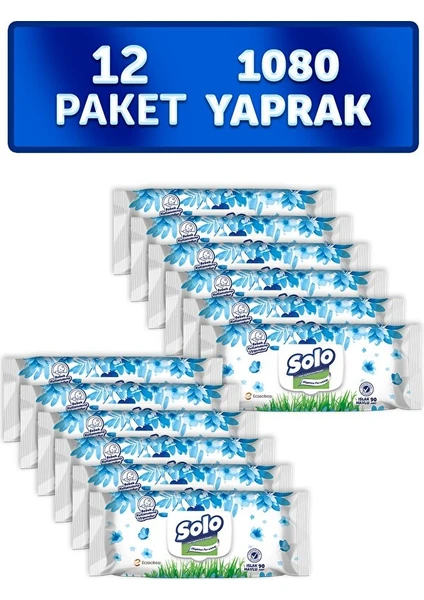 Islak Havlu Okyanus Ferahlığı 12'li Set 1080 Yaprak