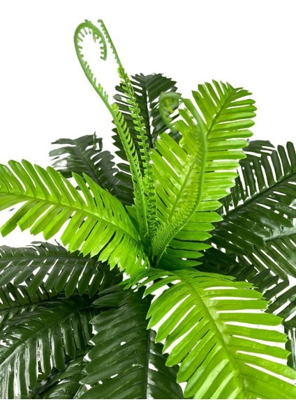 Yapay Çiçek Cycas Aşk Merdiveni Eğrelti Otu Sıkas Bitkisi 24 Yaprak 45X60 cm Yapay Bitki