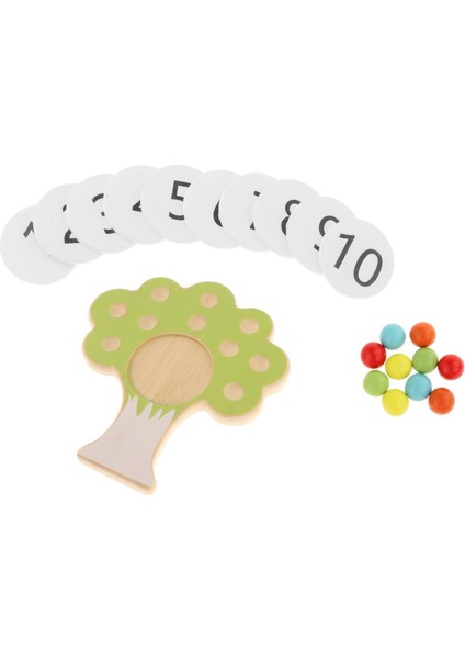 Ahşap Montessori Eğitici Oyuncak (Yurt Dışından)