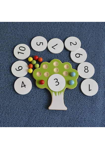 Ahşap Montessori Eğitici Oyuncak (Yurt Dışından)